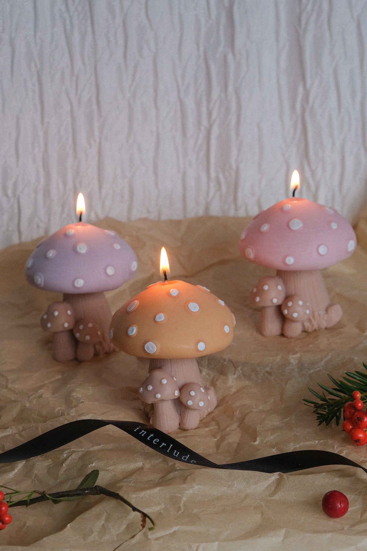 Mushroom Family Candle  | S251509