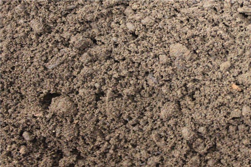 High Grade Multi-Purpose Garden Topsoil | S251474